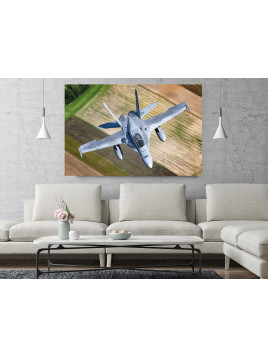 copy of F-18 Hornet