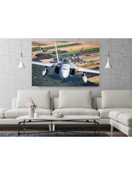 Foto obraz F-18 Hornet...