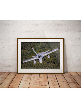 copy of Poster F-18 Growler