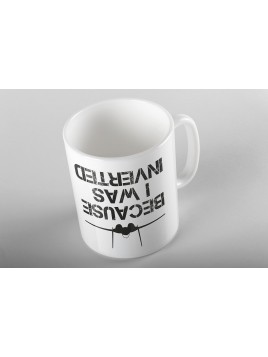 Mug Because I was inverted