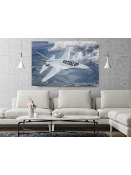 Canvas print -  FA-50...