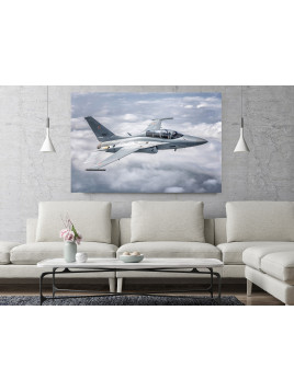 Canvas print -  FA-50...