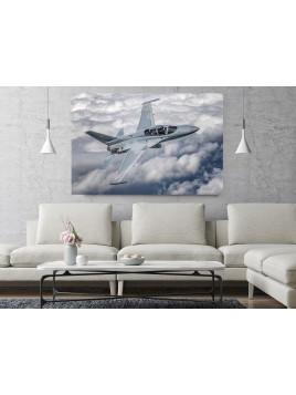 Canvas print -  FA-50...