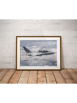 Plakat FA-50 Siły...