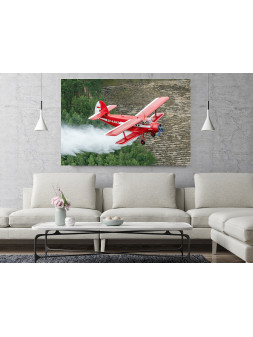 Canvas Print Antonov AN-2