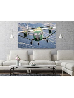 Canvas Print M28 Bryza