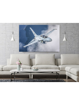 Canvas print -  FA-50...
