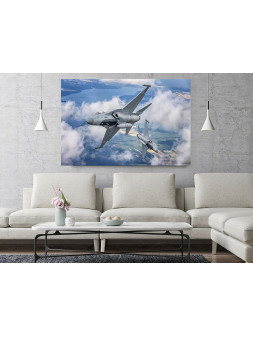 Canvas print -  FA-50...