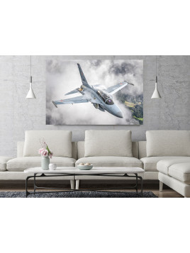 Canvas print -  FA-50...