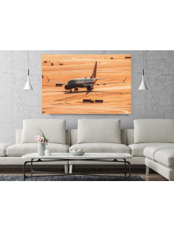 Canvas Print Boeing 737...