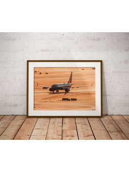 Plakat Boeing 737 Southwest