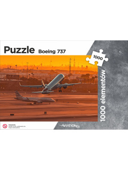 Puzzle Boeing 737 American...