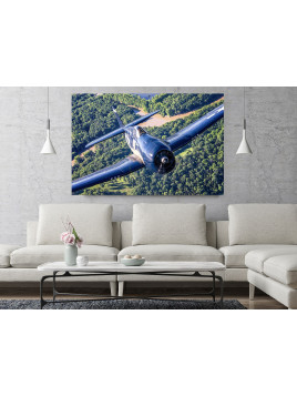 Foto Obraz Grumman F6F Hellcat