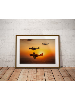 Plakat P-51 Mustang