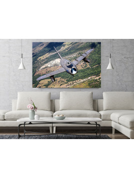 Canvas Print MiG-17