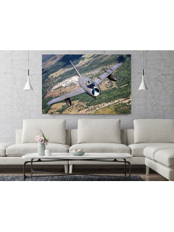 Canvas Print MiG-17