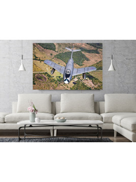 Canvas Print MiG-17