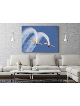 Foto obraz Air Bandits