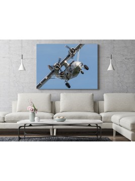 PBY Catalina photo image