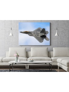 F-22 Raptor