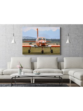 Foto obraz PAC 750 XSTOL