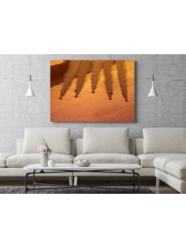 Foto obraz Saudi Hawks