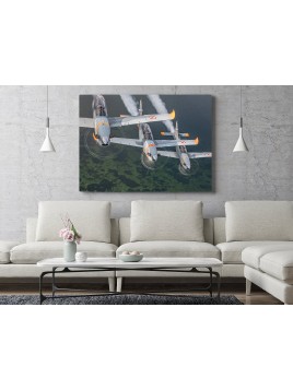 PZL Orlik Photo Image