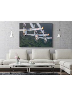 Foto Obraz PZL Orlik