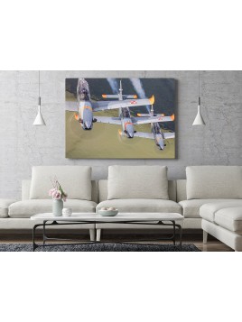 Foto Obraz PZL Orlik