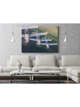 Foto Obraz PZL Orlik