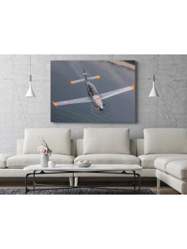 PZL Orlik Photo Image