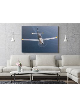 Foto Obraz PZL Orlik