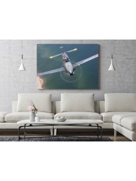 Foto Obraz PZL Orlik