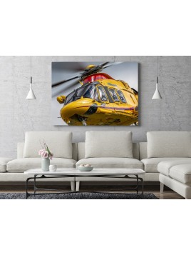 Photo Painting Leonardo AW169