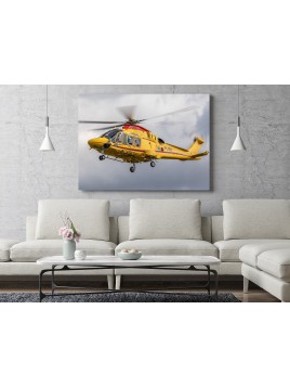 Foto Obraz Leonardo AW169