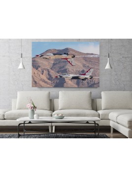 USAF Thunderbirds photo image