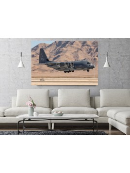 Photo image C-130 Hercules