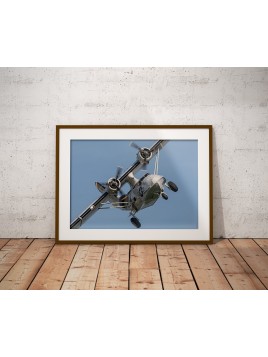 Plakat PBY Catalina