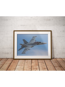 Poster F-18 Growler