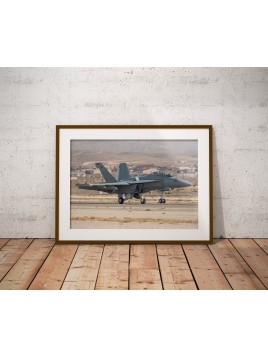 Plakat F-18 Growler