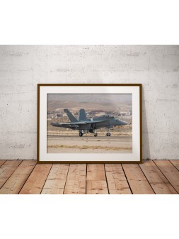 Poster F-18 Growler