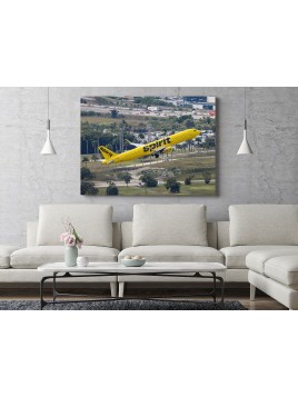 Spirit Airlines at Fort...