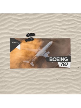 Beach towel Boeing 787...