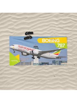 Beach towel Boeing 787...