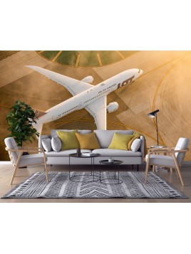 Wall mural boeing 787...