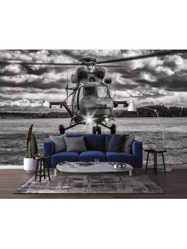 Wall mural wallpaper for...