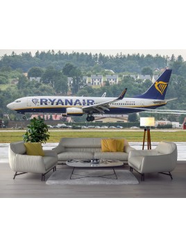 Wall mural For Ryanair...