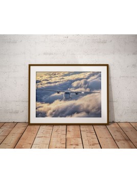 Poster Tecnam P2006T