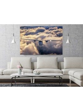 Foto Obraz Tecnam P2006T