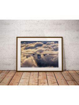 Poster Tecnam P2006T